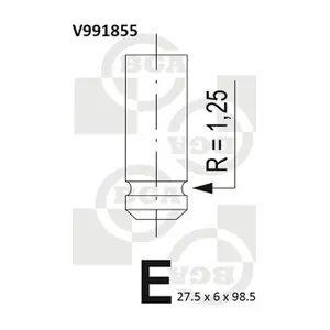BGA V991855