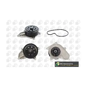 CP2501 BGA