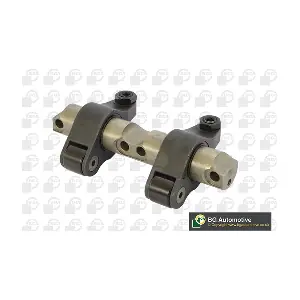 BGA RA0100