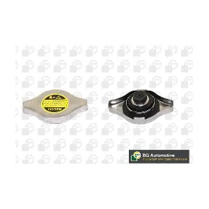 BGA CC3034