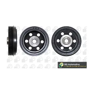BGA DP1007
