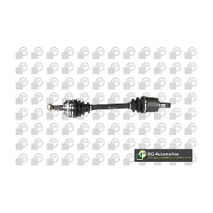 DS2500RA BGA