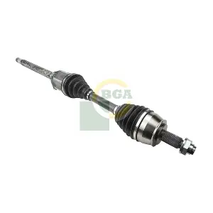 DS2206RA BGA