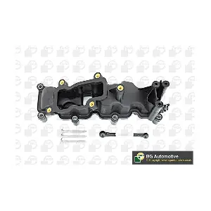 BGA MG01011