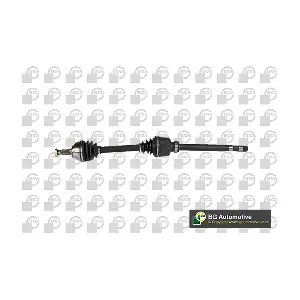 BGA DS1401R