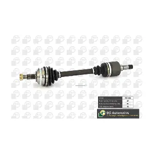 DS1418L BGA