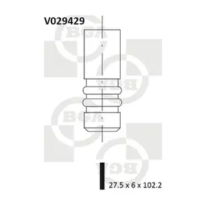 BGA V029429