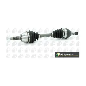DS9514L BGA