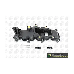 BGA MG01012