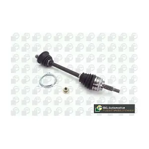 BGA DS7338L