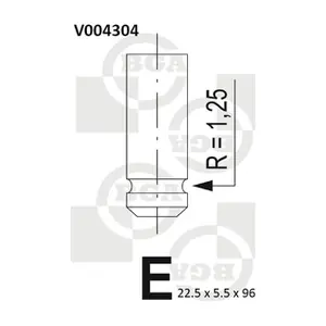 V004304 BGA