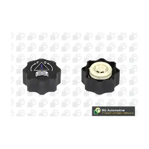 BGA CC3029