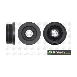 BGA DP1018