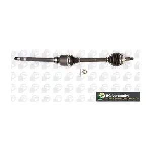 BGA DS1418R