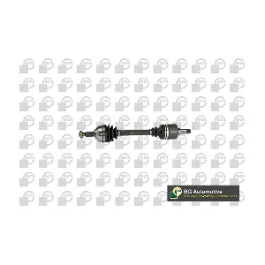 BGA DS1401L