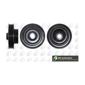 BGA DP1200