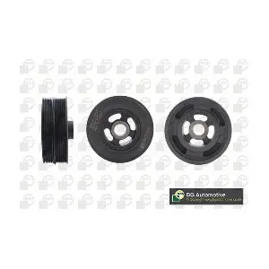 BGA DP1195