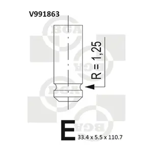 BGA V991863