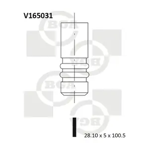 BGA V165031