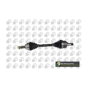 BGA DS2304L