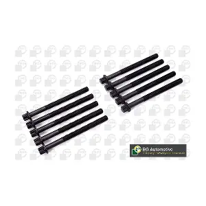 BGA BK2339