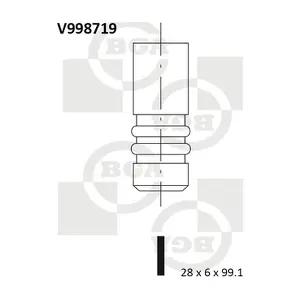 BGA V998719