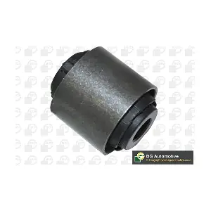 BU4304 BGA