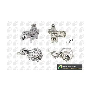 BGA CP2696