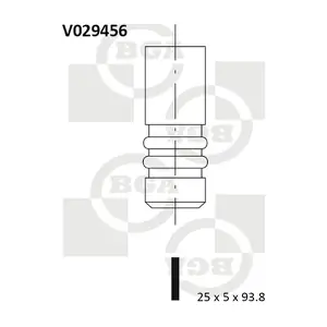 BGA V029456