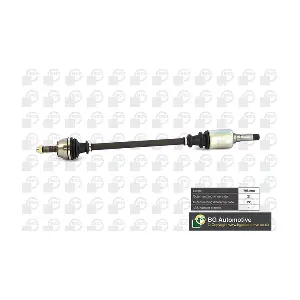 DS1405R BGA