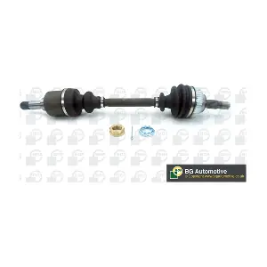 BGA DS1425L