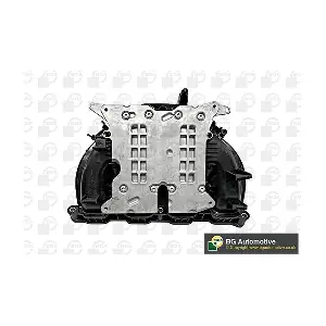 MG09028 BGA