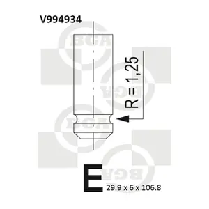 BGA V994934