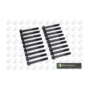 BGA BK6313