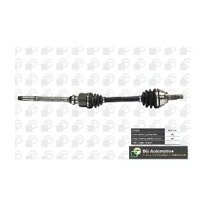 DS1408R BGA
