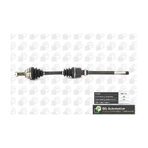 DS1410R BGA
