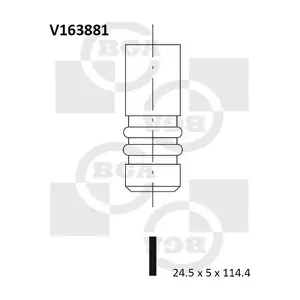BGA V163881