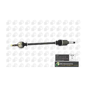 DS1400R BGA