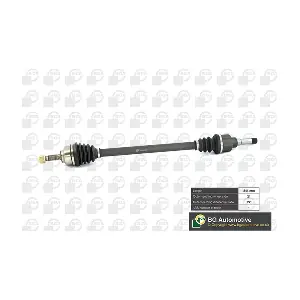 DS1420R BGA
