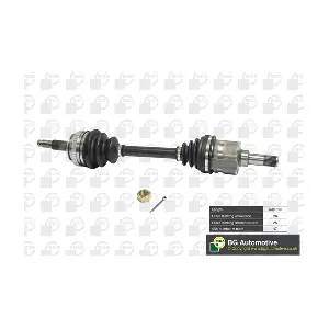 DS1300L BGA