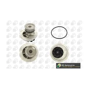 BGA CP1200