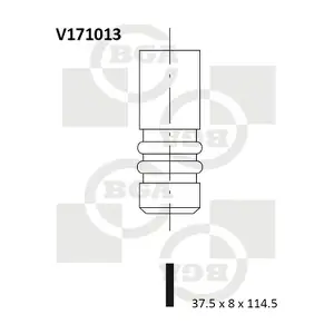 BGA V171013