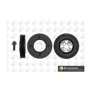 BGA DP0204K