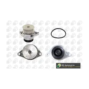 BGA CP3166