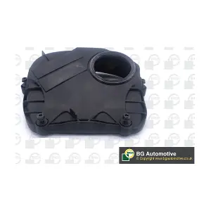 FC0110 BGA
