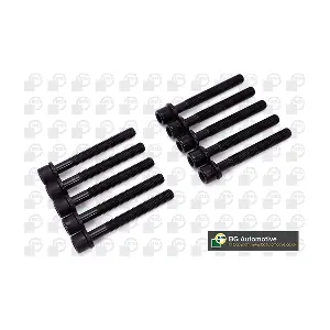 BGA BK6396