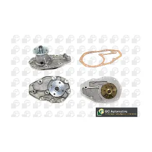 BGA CP2184