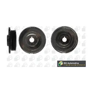 BGA DP1040