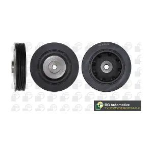 BGA DP0205