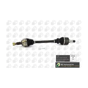 BGA DS6736L